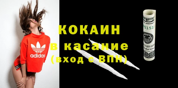 крисы Белокуриха