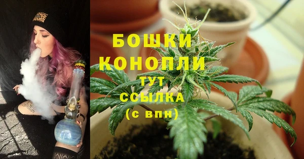 дживик Белоозёрский