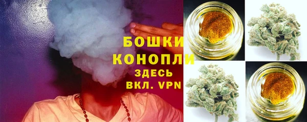 крисы Белокуриха