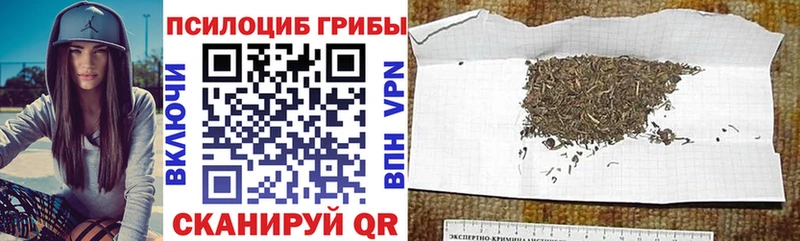 купить наркоту  Оха  это состав  Галлюциногенные грибы мухоморы 